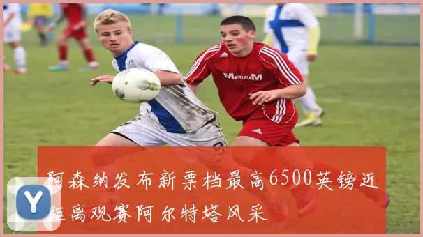 阿森纳发布新票档最高6500英镑近距离观赛阿尔特塔风采
