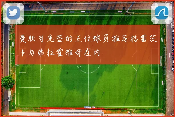 曼联可免签的五位球员推荐格雷茨卡与弗拉霍维奇在内